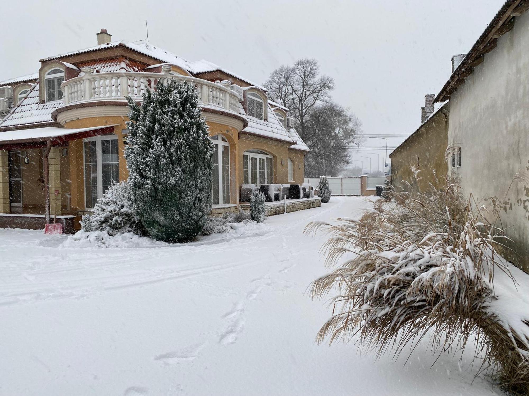 Ambrozia Guesthouse Нагиканиша Екстериор снимка