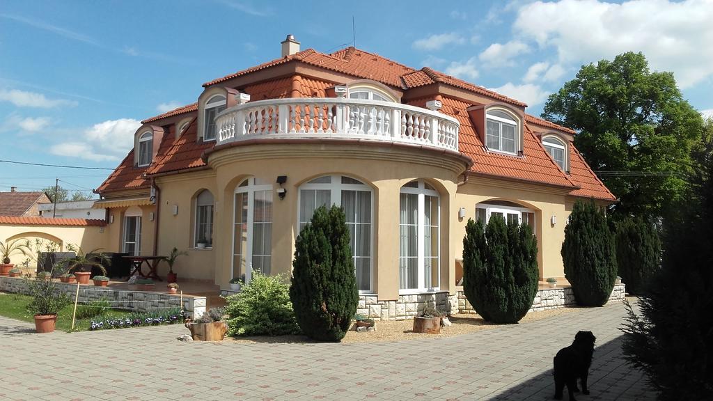 Ambrozia Guesthouse Нагиканиша Екстериор снимка